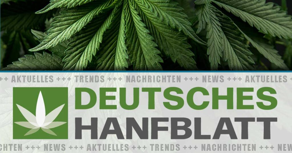 Deutsches Hanfblatt | Nachrichten