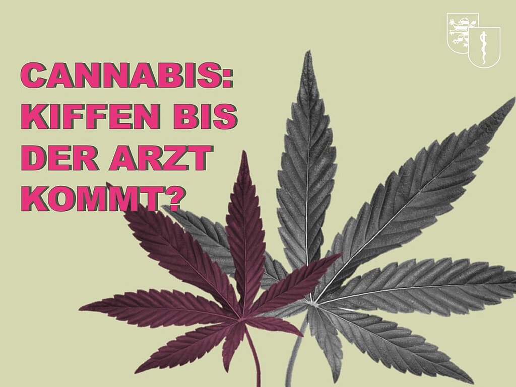 In ansprechenden Vorträgen bekommen die Schülerinnen und Schüler altersgerecht Wissen zu Cannabis...Foto: Gestaltung: Stabsstelle Medien